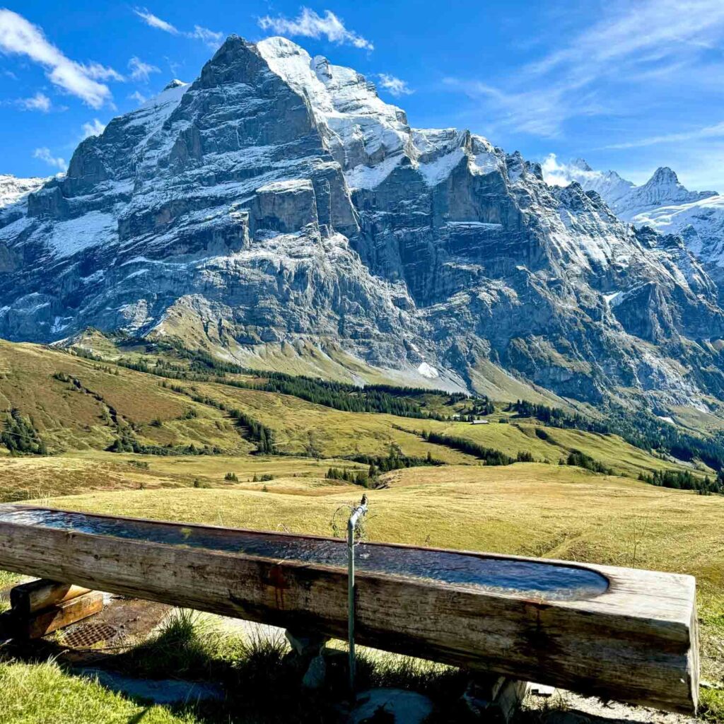 First — Switzerland