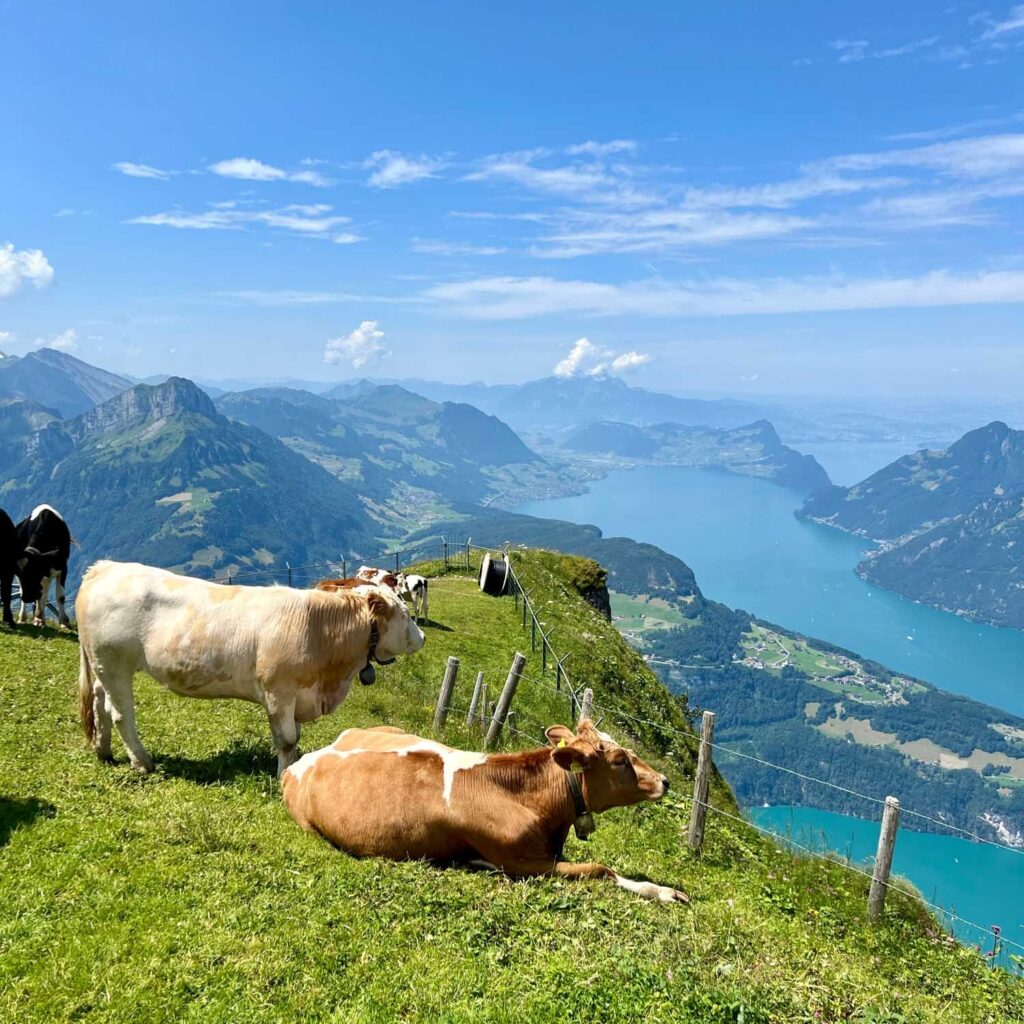 Fronalpstock — Switzerland