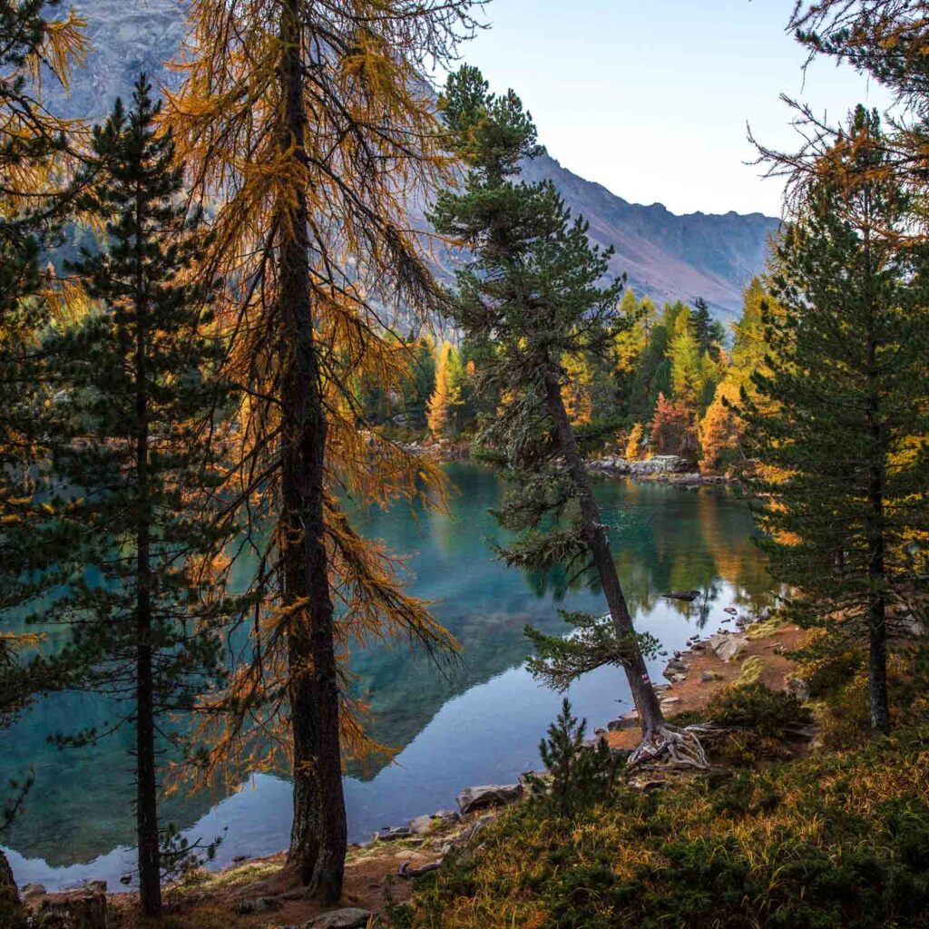 Lago di Saoseo — Switzerland