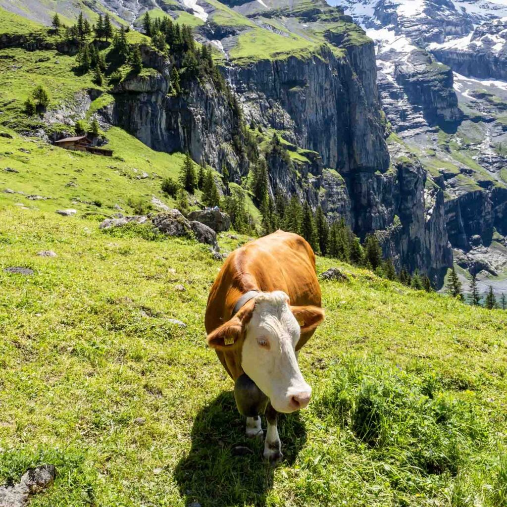 Oeschinen Lake — Switzerland