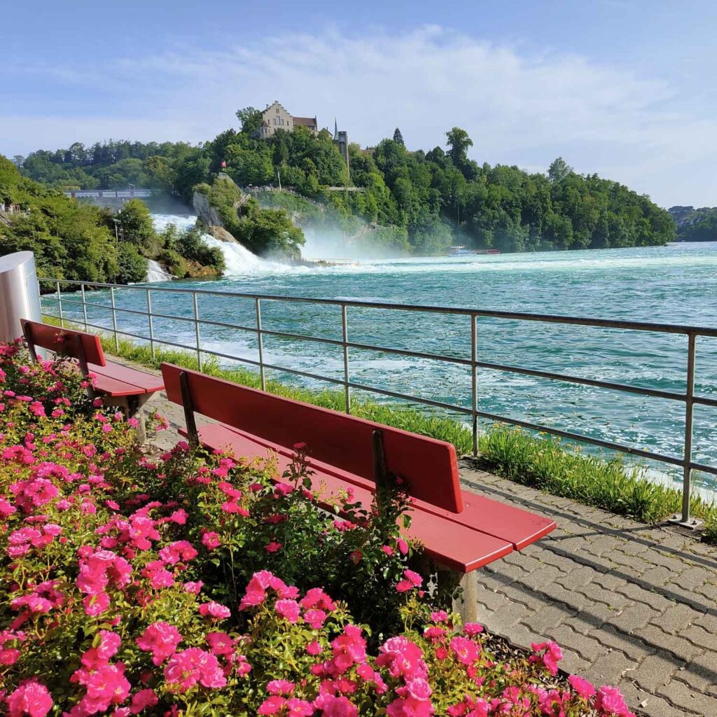 Rhine Falls — Switzerland