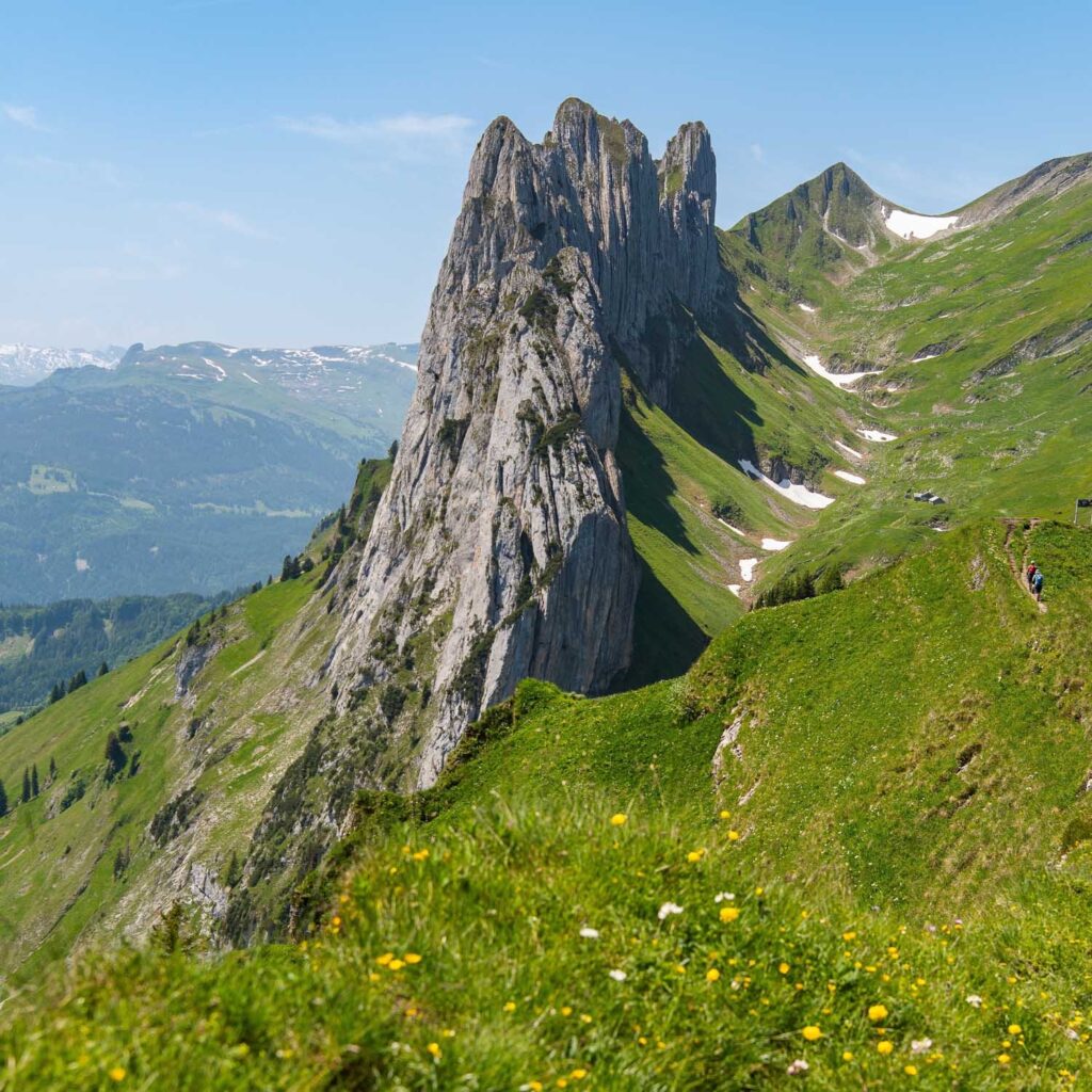 Saxer Lücke — Switzerland