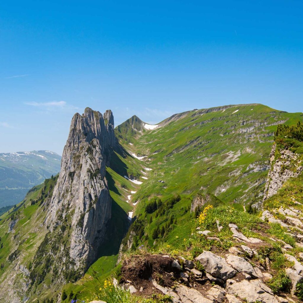 Saxer Lücke — Switzerland