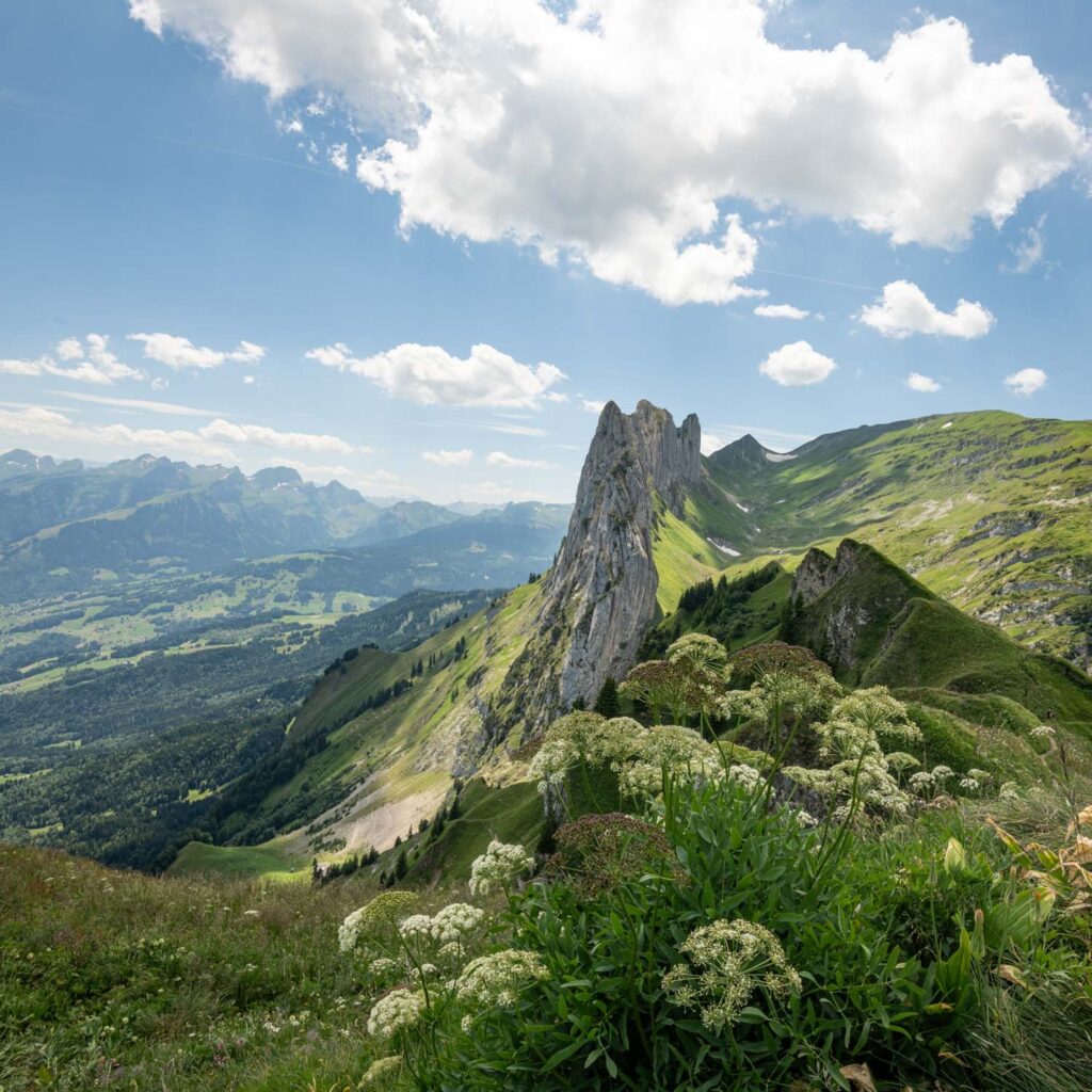 Saxer Lücke — Switzerland