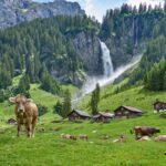 Stäubi Waterfall — Switzerland
