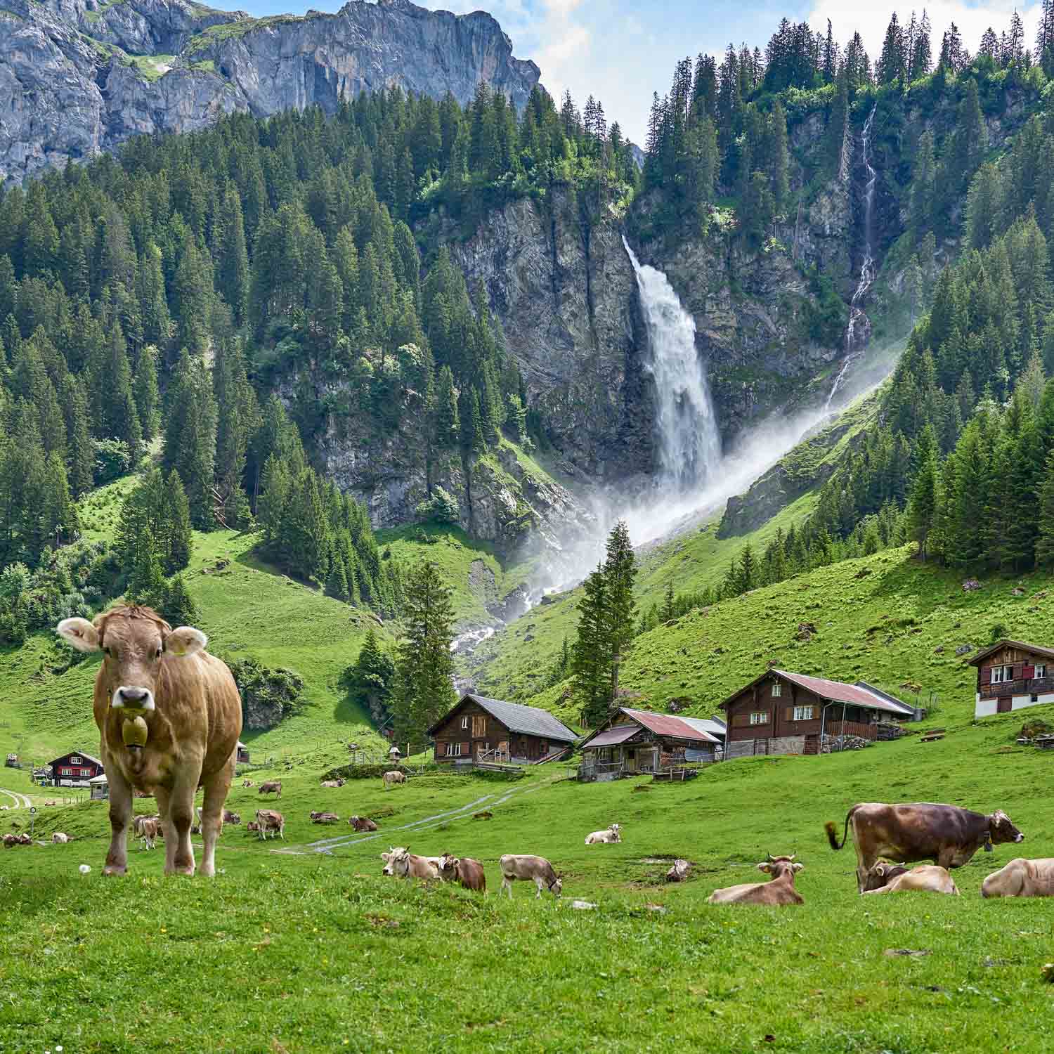 Stäubi Waterfall — Switzerland