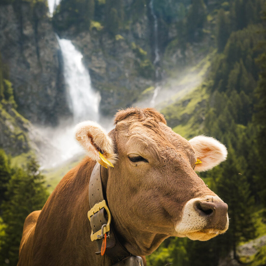 Stäubi Waterfall — Switzerland