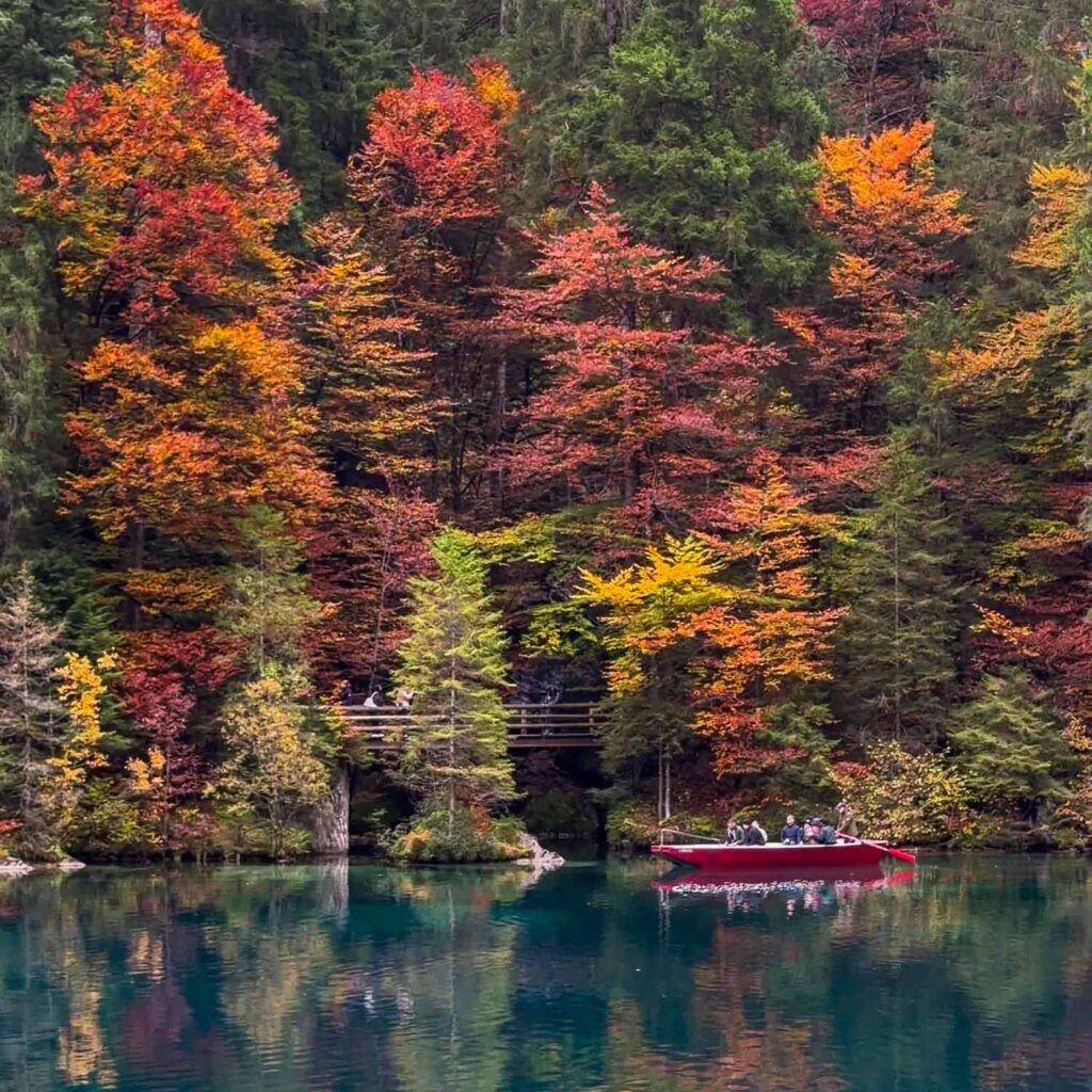 West Shore Blausee — Switzerland