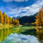 Dam Shore Palpuogna — Switzerland