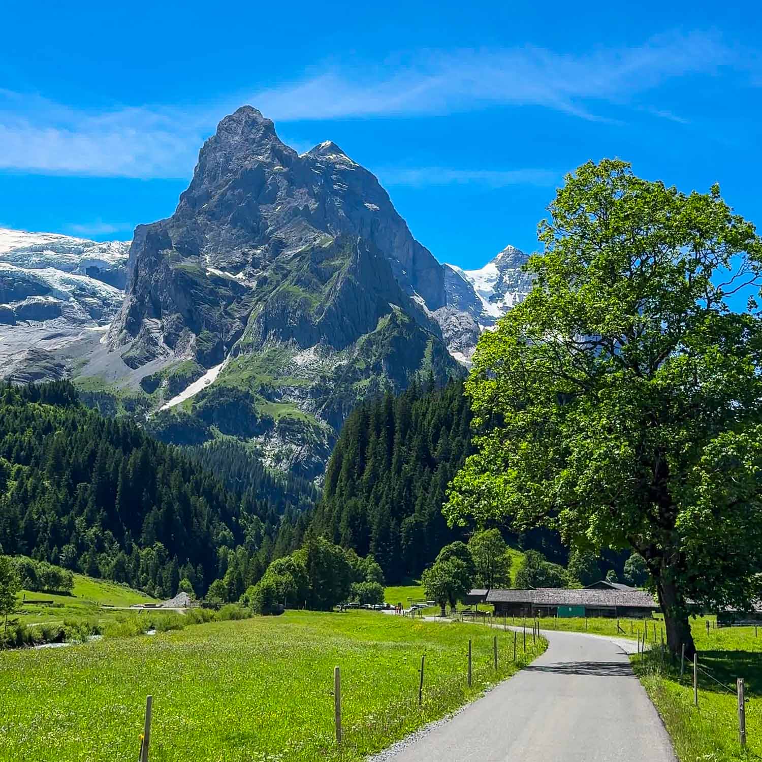 Viewpoint Scheidegg Road — Switzerland