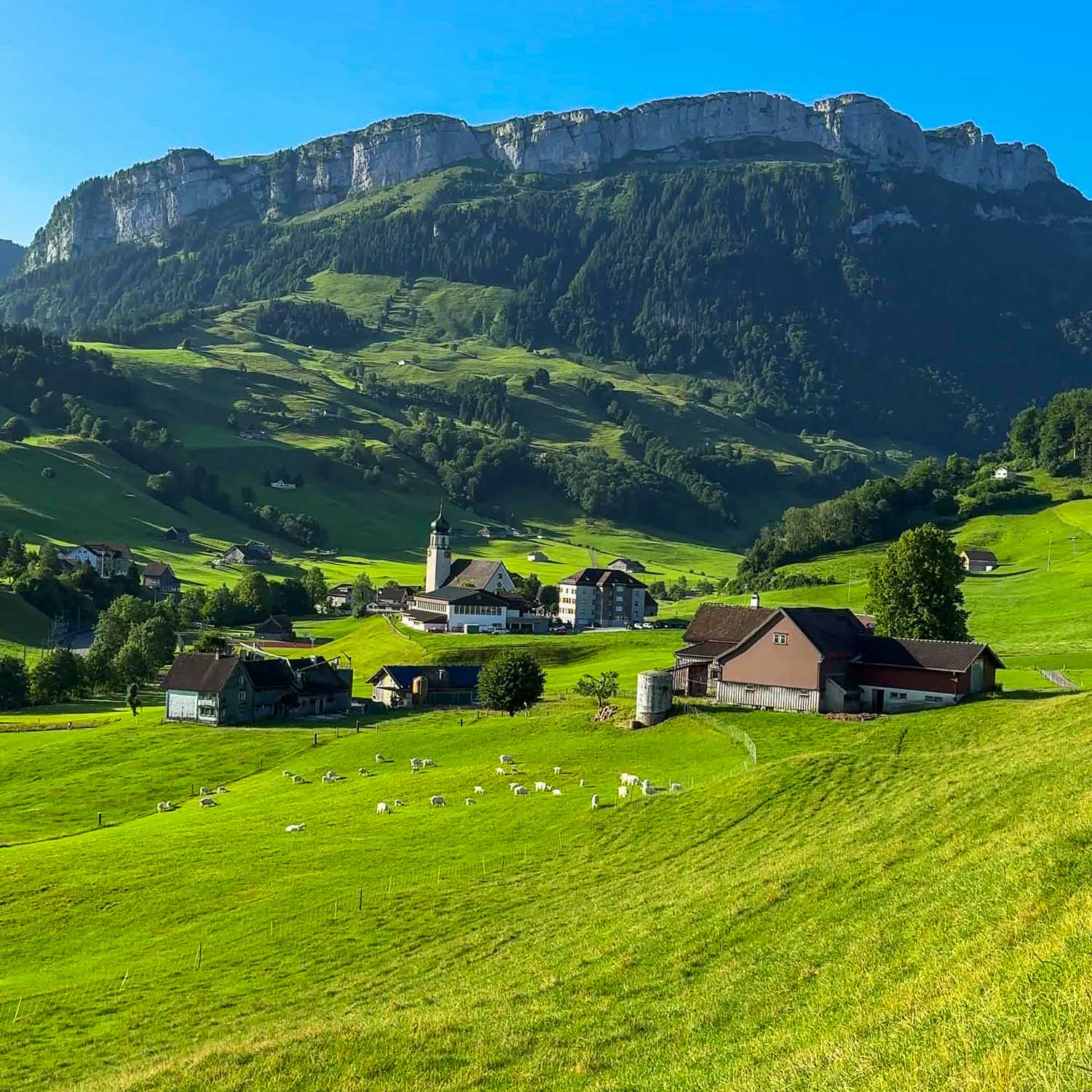 Triebernstrasse Panoramic View — Switzerland
