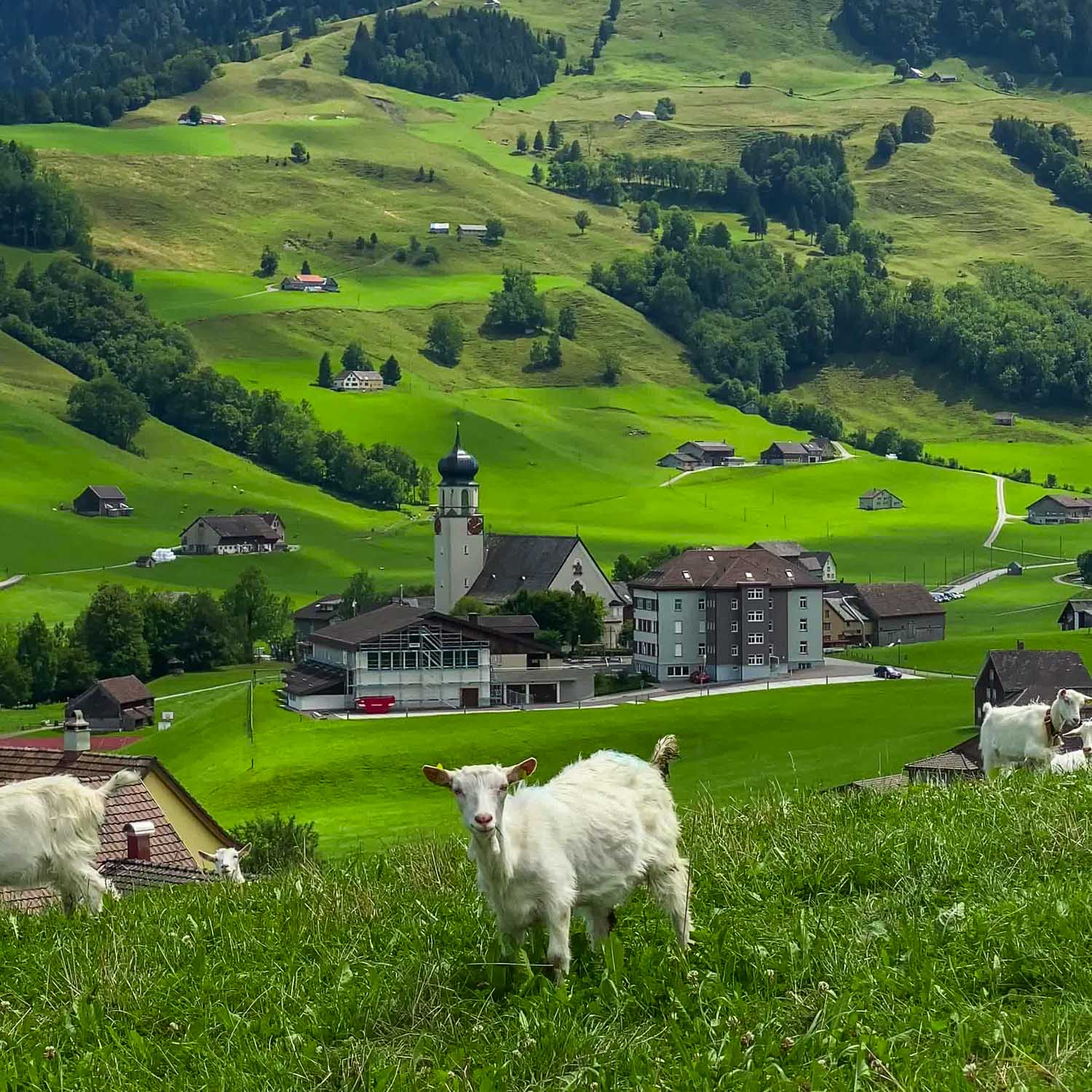 Village View Erstböhl — Switzerland