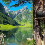 Lake View Forelle — Switzerland