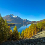 Viewpoint Stone Path — Switzerland