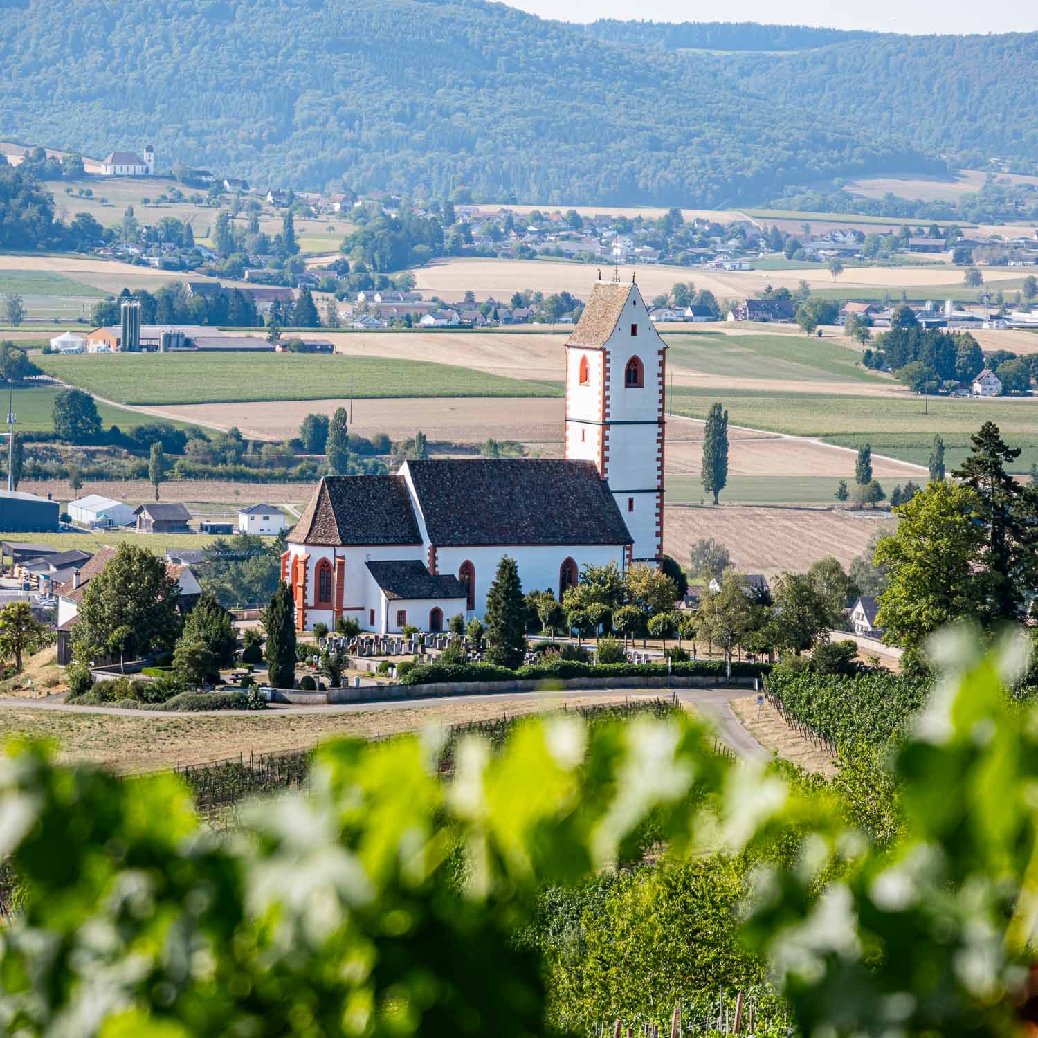 Hallau — Switzerland