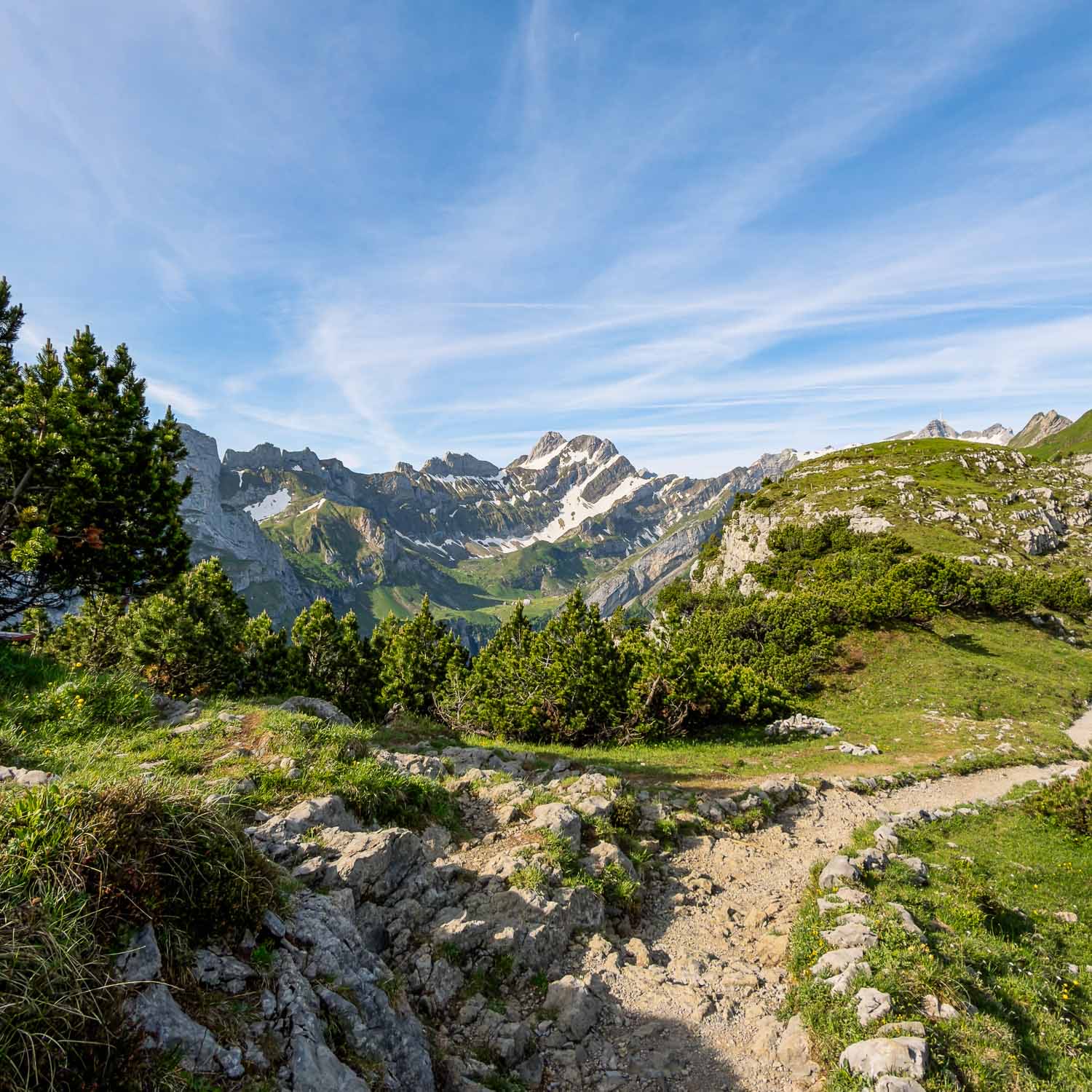 Stony Path Alpine View — Switzerland
