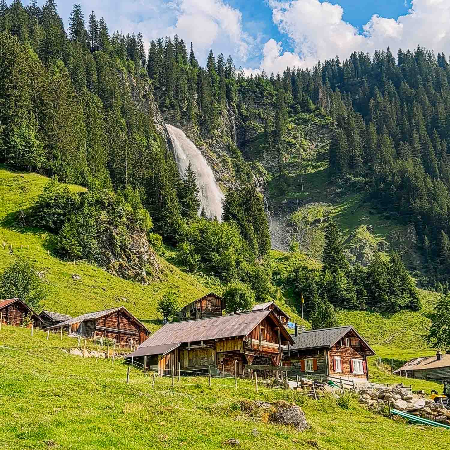 Meadow View — Switzerland